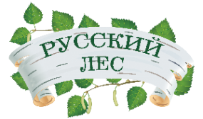Логотип компании Русский лес