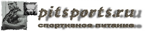 Логотип компании Pitsports.ru